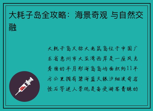 大耗子岛全攻略：海景奇观 与自然交融